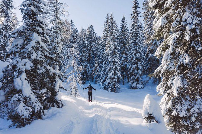 Forêt enneigée des Dolomites